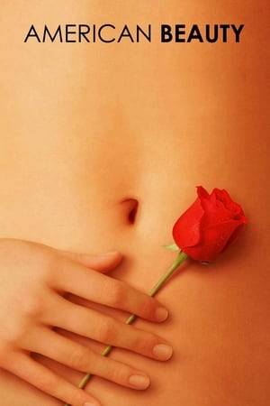 American Beauty (1999) Dual Audio | Dubbed Hindi Movie BluRay [900MB]