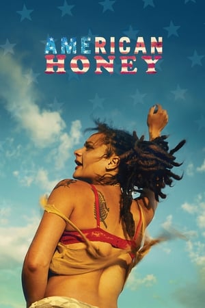 American Honey (2016) Dual Audio | Dubbed Hindi Movie BluRay [1.4GB]