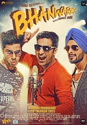 Bhanwarey 2017 Movie | Dubbed Hindi Movie DVDRip – [300MB]