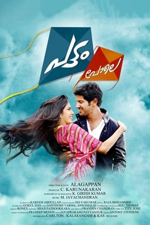 Pattam Pole (2013) ( – Malayalam) Dual Audio | Dubbed Hindi Movie UnCut HDRip 400MB
