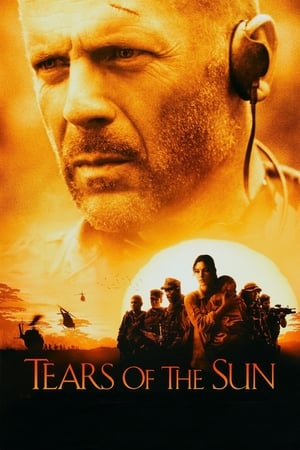 Tears of the Sun 2003 Dual Audio | Dubbed Hindi Movie BluRay 360MB