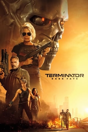 Terminator: Dark Fate (2019) (Org) Dual Audio | Dubbed Hindi Movie BluRay [1GB]