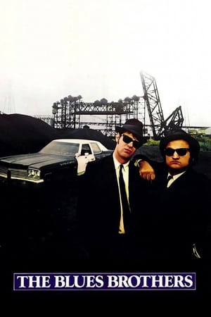 The Blues Brothers (1980) Dual Audio | Dubbed Hindi Movie BluRay [1.3GB] ESubs
