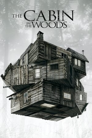 The Cabin in the Woods (2011) Dual Audio | Dubbed Hindi Movie BluRay [990MB]