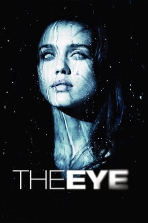 The Eye (2008) Dual Audio | Dubbed Hindi Movie BluRay [850MB]