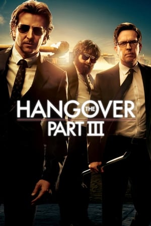The Hangover Part III (2013) Dual Audio | Dubbed Hindi Movie BluRay 300MB