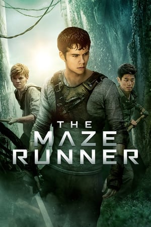 The Maze Runner (2014) Dual Audio | Dubbed Hindi Movie BluRay 400MB
