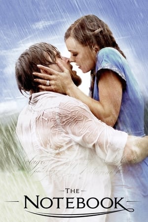 The Notebook 2004 Dual Audio BRRip Hevc [200MB]