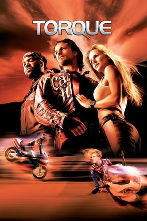 Torque 2004 300MB Dual Audio BRRip Download